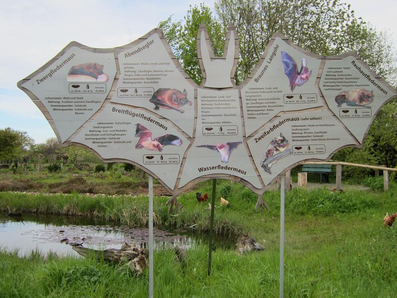 Fledermaustafel