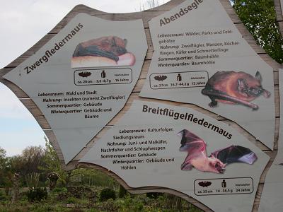 Ausschnitt aus der Fledermaustafel