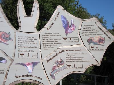 Ausschnitt aus der Fledermaustafel