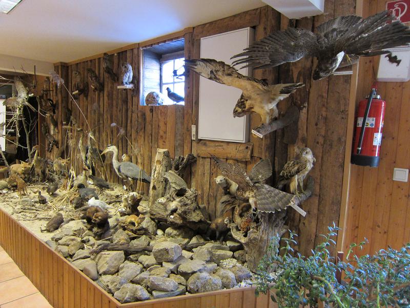 Diorama, Uebersicht