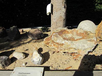 Geologie-Stand - Flint / Feuerstein