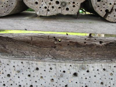 Insektennisthilfen