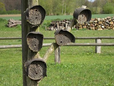 Insektennisthilfen