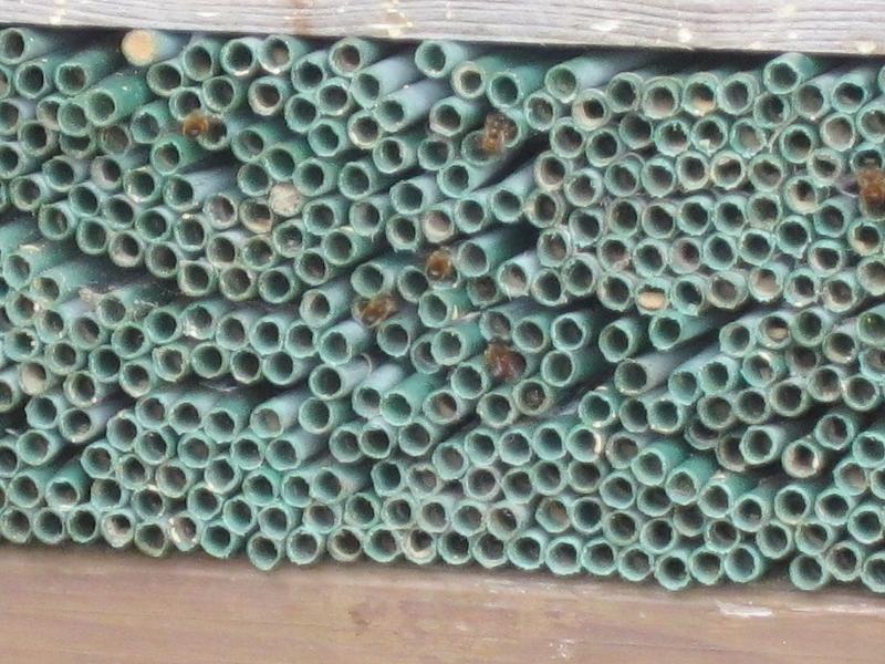 Insektennisthilfen
