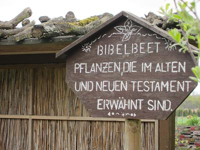 Pflanzen