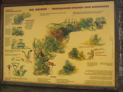 Schautafeln - Hecken