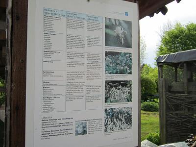 Schautafeln - Nuetzlinge