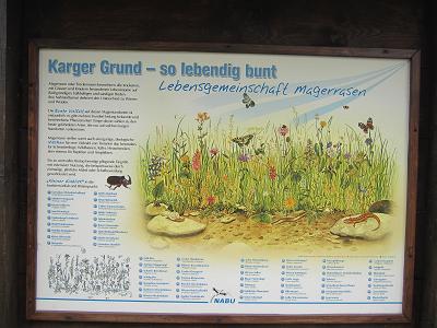 Schautafeln - Karger Grund