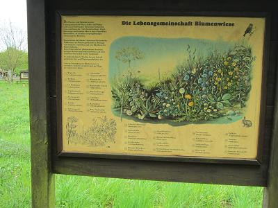 Schautafeln - Lebensgemeinschaft Blumenwiese