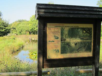 Schautafeln - Lebensraum Weiher und Tuempel