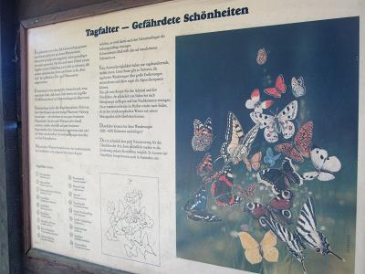 Schautafeln - Tagfalter