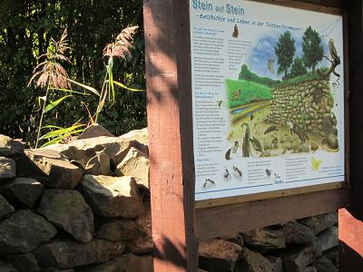 Schautafeln - Trockenmauer