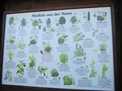 Schautafeln - Medizin aus der Natur