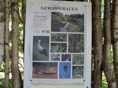 Schautafeln - Gewaesserauen
