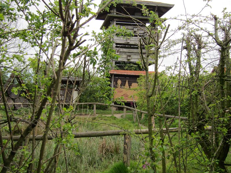 Turm