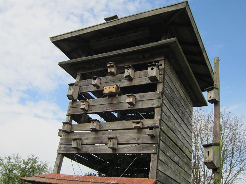 Turm