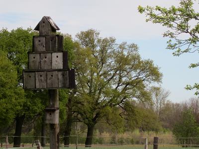 Vogelhaeuser