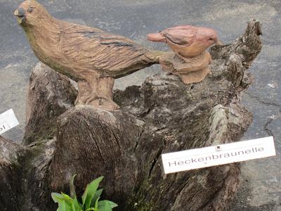 Vogeluhr - Heckenbraunelle / Amsel