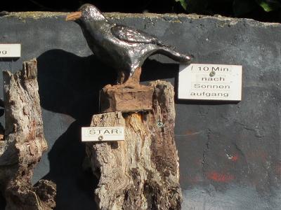 Vogeluhr - Star