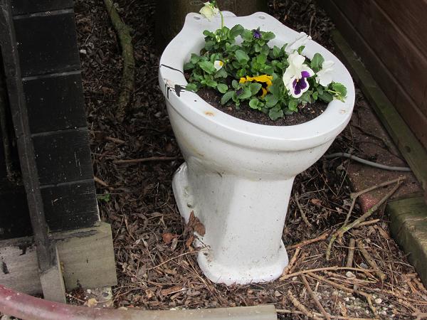 Verschiedenes - Garten ohne Leben