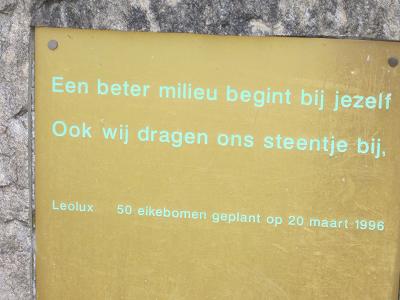 Verschiedenes - Eine bessere Umwelt beginnt bei dir selbst
