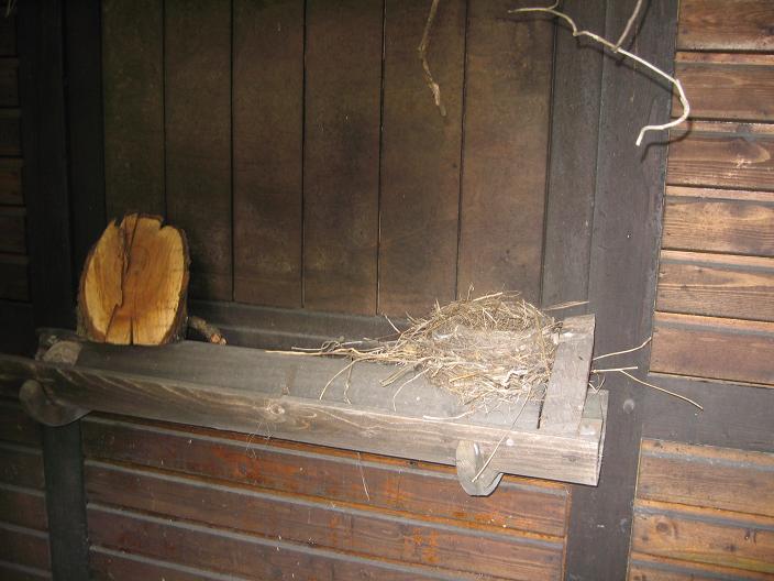 Vogelhaeuschen