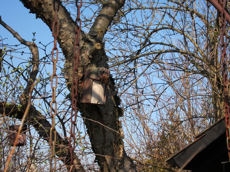 Vogelhaeuschen