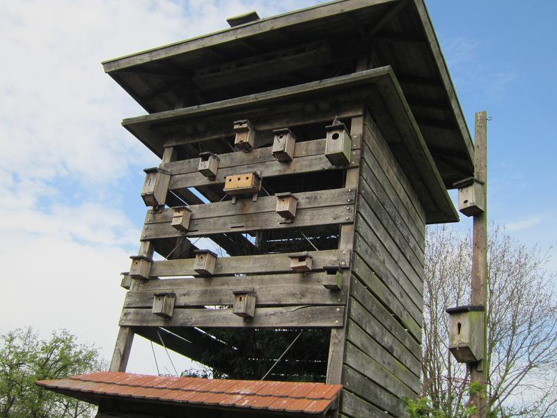 Vogelhaeuschen