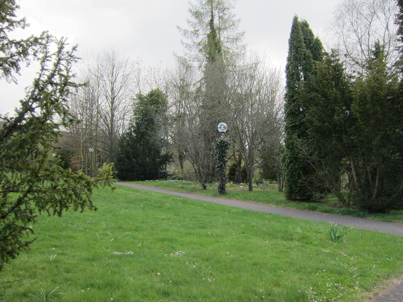 Begruenung / Laternenbegruenung