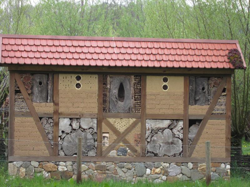 Begruenung / Dachbegruenung