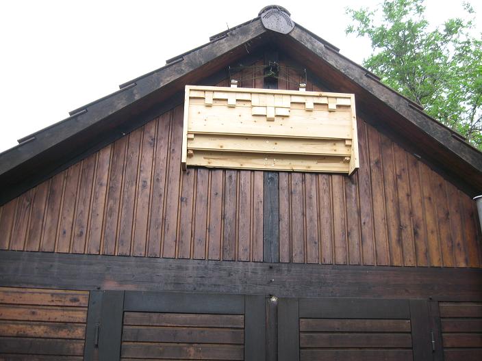 Fledermauskasten