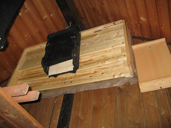 Fledermauskasten
