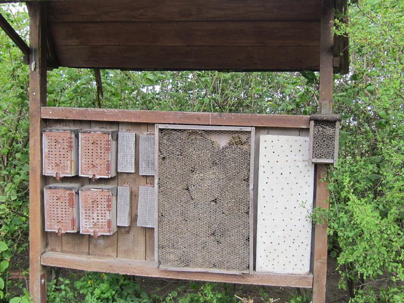 Insektenhotel
