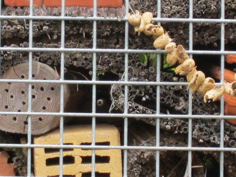 Insektenhotel