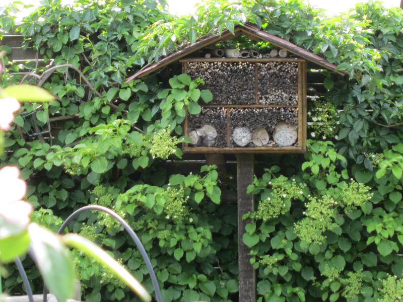 Insektenhotel