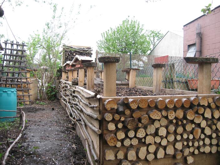 Insektennisthoelzer