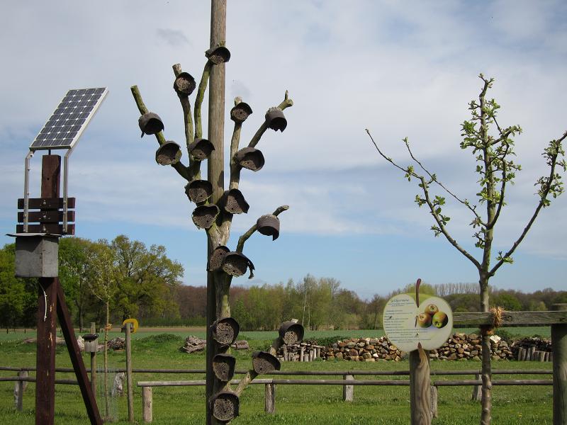 Insektennisthoelzer