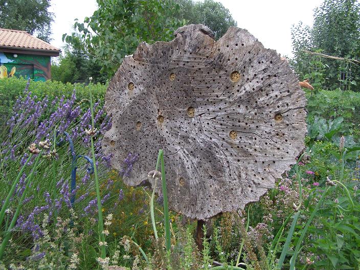 Insektennisthoelzer