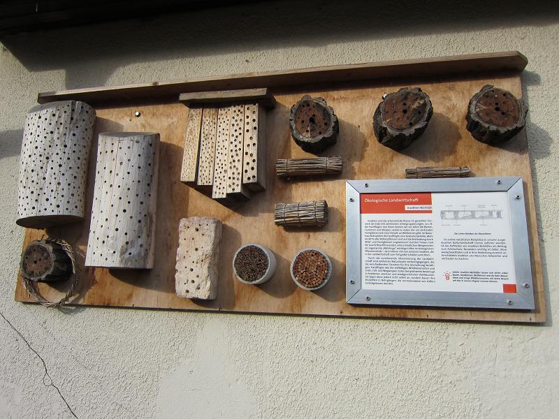 Insektennisthoelzer