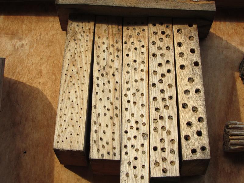 Insektennisthoelzer