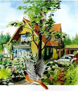 Derselbe Garten voller Leben. Quelle: Rudolf L. Schreiber(Hg.): Tiere auf Wohnungssuche. Ratgeber fuer mehr Natur am Haus. Deutsche Umwelthilfe e.V., S. 38 und 39