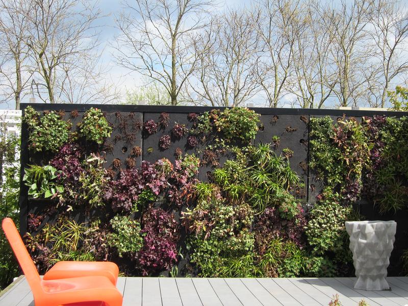 Pflanzenvielfalt / Pflanzenwand auf der Floriade 2012 in Venlo