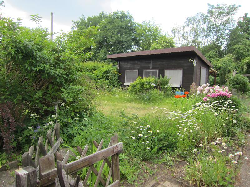 Pflanzenvielfalt / Garten