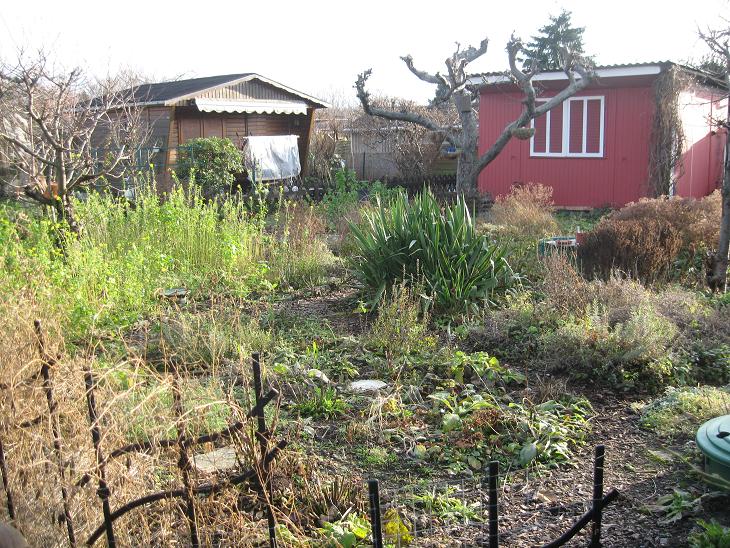 Pflanzenvielfalt / Garten
