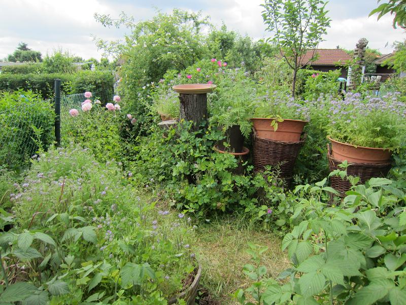 Pflanzenvielfalt / Garten