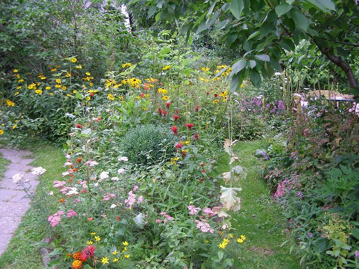 Pflanzenvielfalt / Garten. Foto: Karla Paliege
