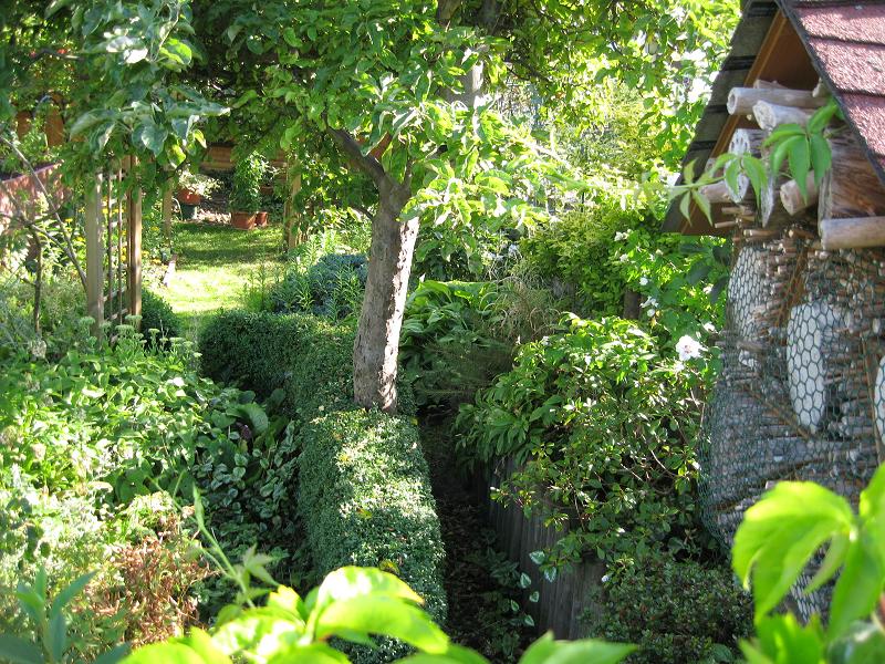 Pflanzenvielfalt / Garten