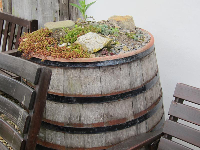 Steine als Nisthilfen - Steingarten
