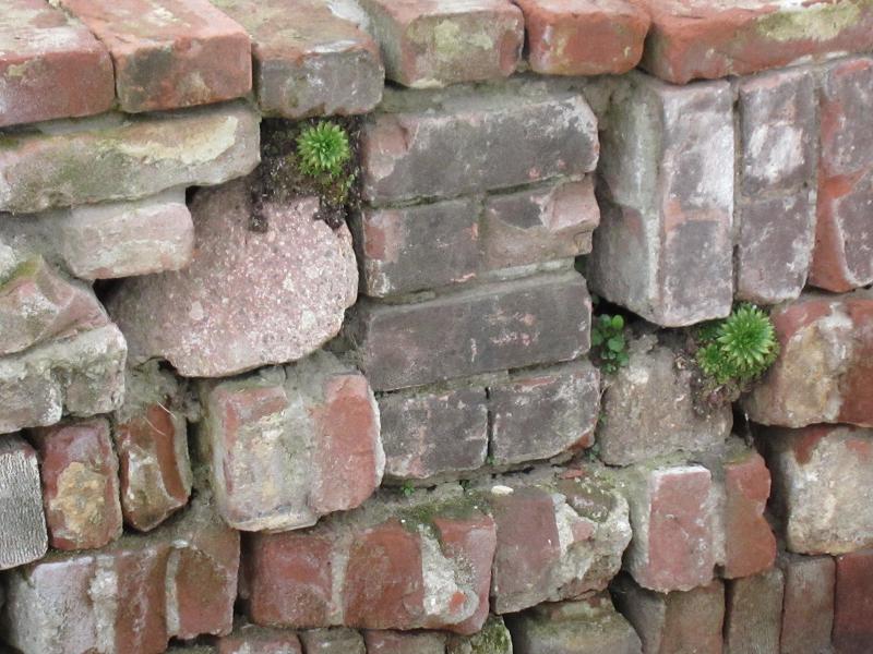 Steine als Nisthilfen - Steinmauern und aehnliches