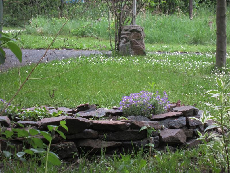 Steine als Nisthilfen - Steingarten